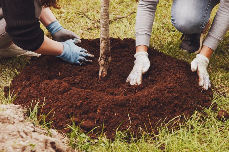 Tree Planting Services